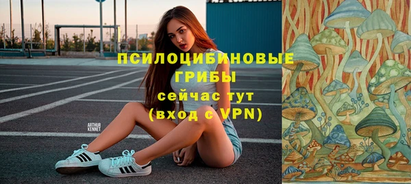 apvp Армянск
