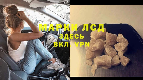трава Аркадак
